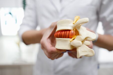 A plastic anatomical model of the lumbar spine. Showing the vertebrae and a disc in between. Model from Burwood family Chiropractic original clinic.