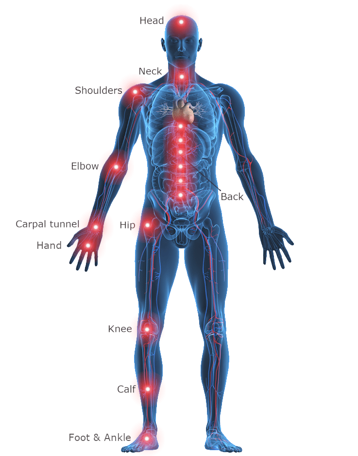 Chiropractic areas of the body