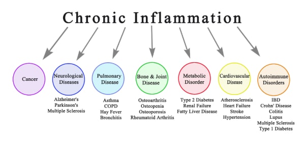 An infographic showing the effects of chronic inflammation.