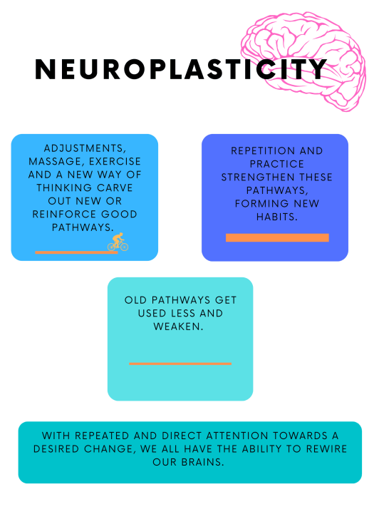 neuroplasticity (1)
